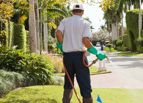 About Almo ID Pest Control